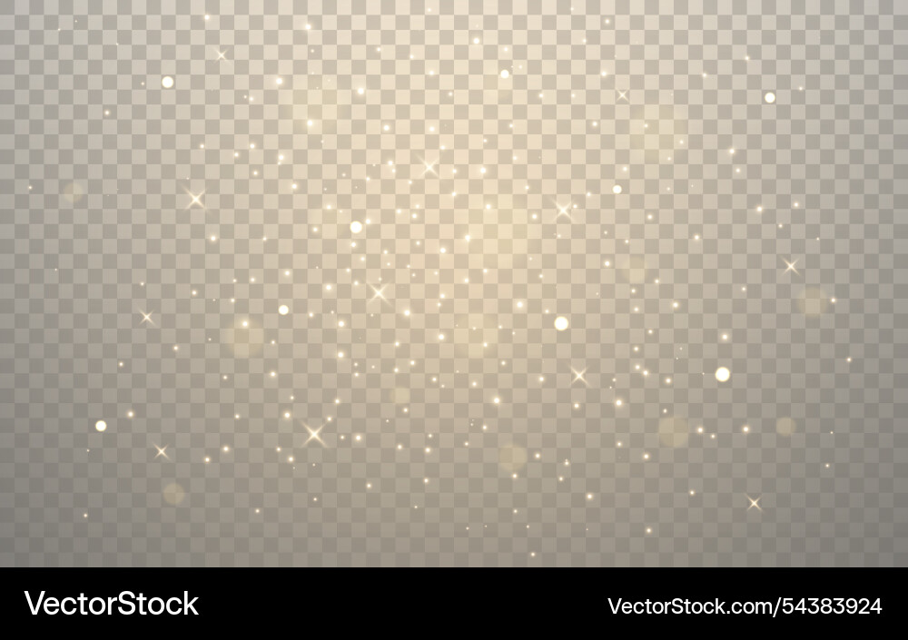 Gold dust luxury shiny particles glowing sparks Vector Image