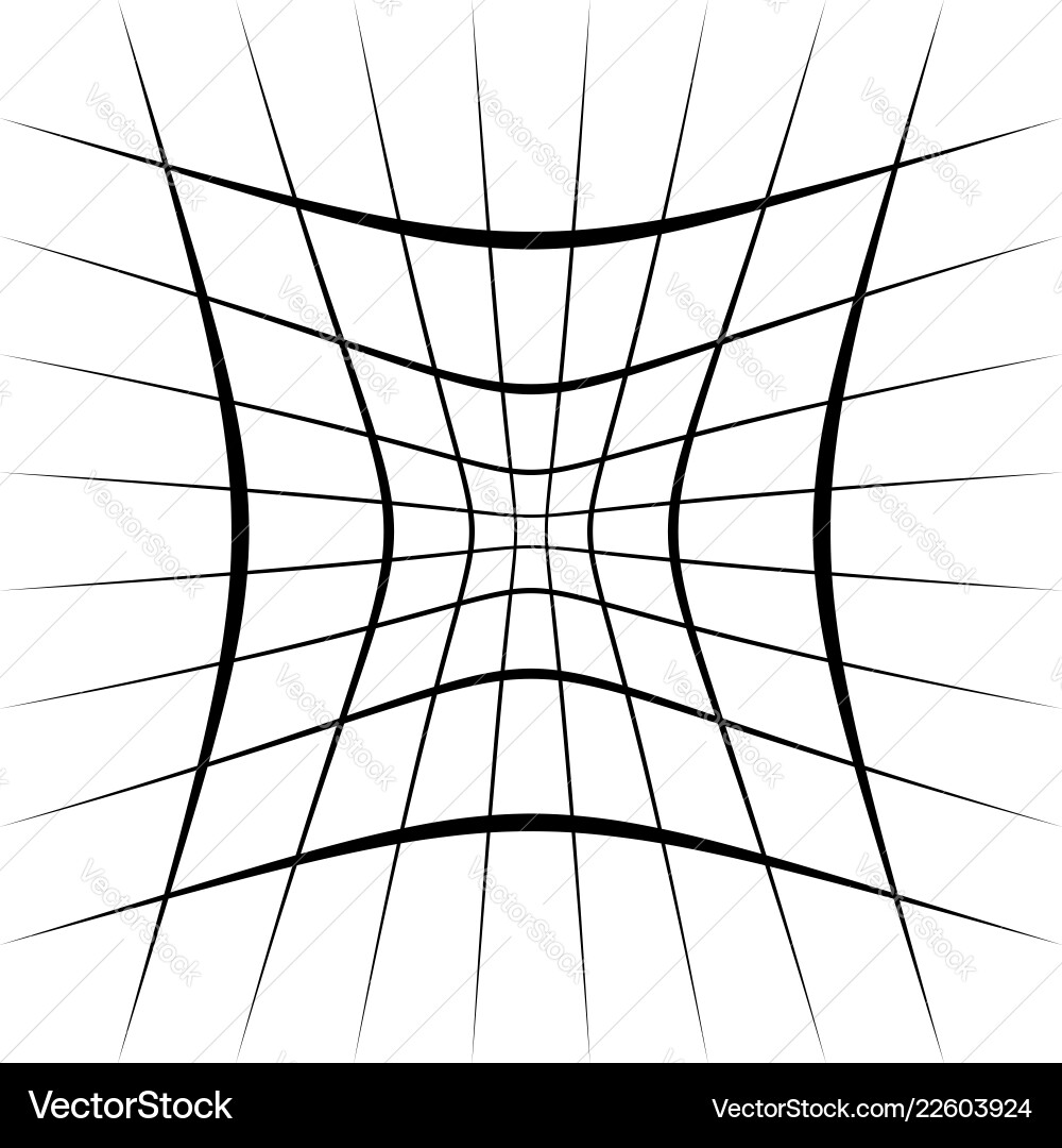 Grid mesh lattice with distortion warp effect vector image