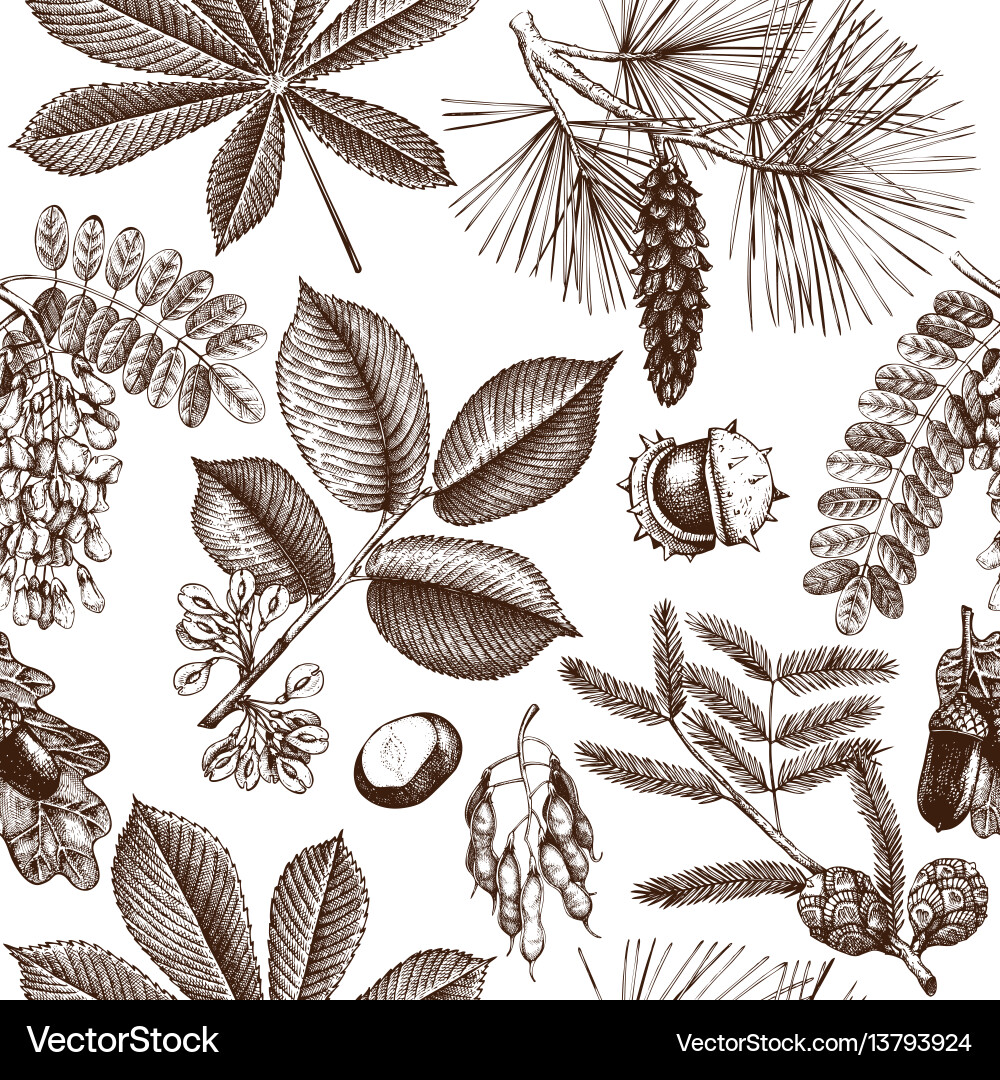 Seamless pattern with hand drawn trees sketch Seamless pattern with hand drawn trees sketch Vector Image