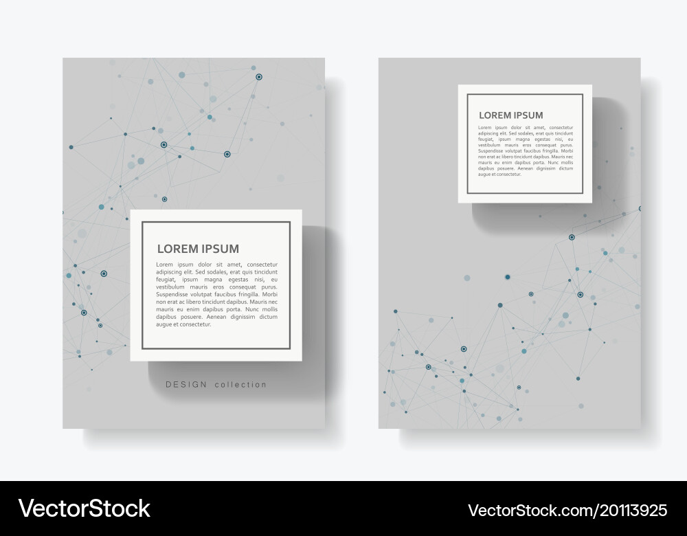 Abstract connect background with connected lines Vector Image