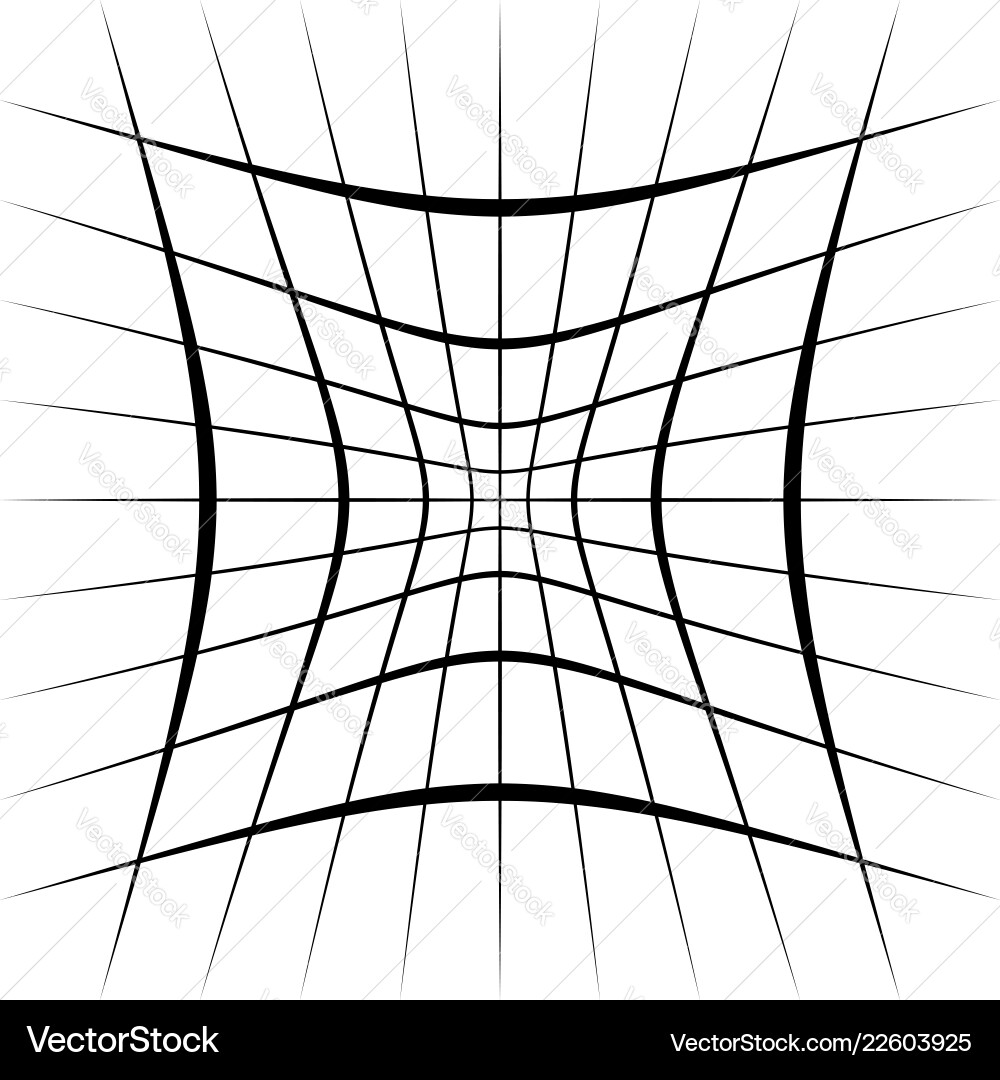 Grid mesh lattice with distortion warp effect Vector Image