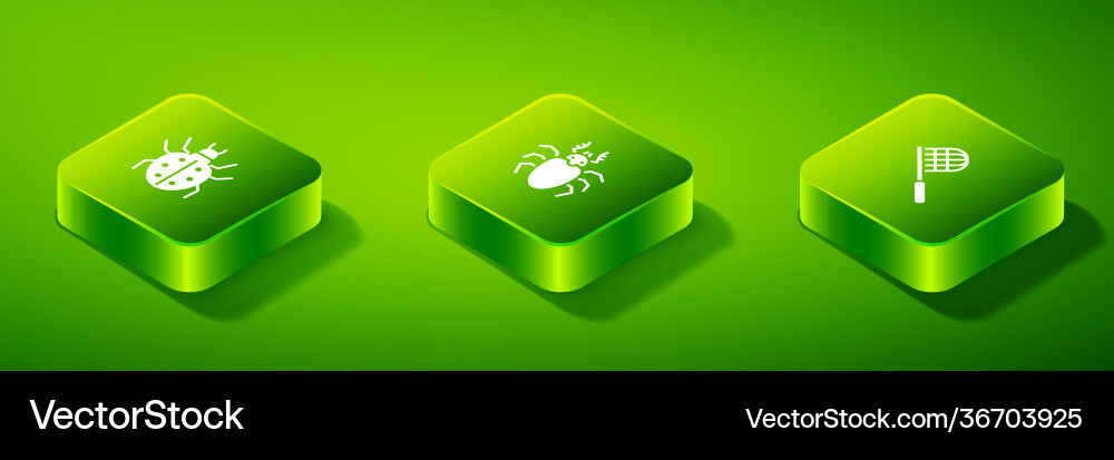 Set isometric beetle deer butterfly net and mite Set isometric beetle deer butterfly net and mite Vector Image