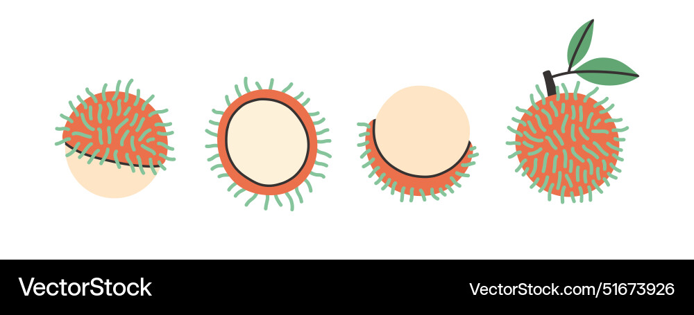 Set of abstract rambutan simple Vector Image