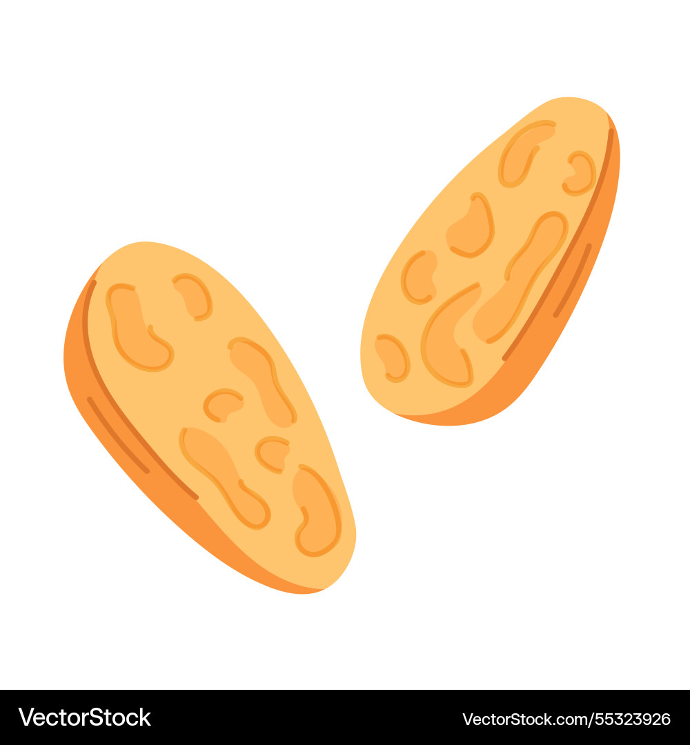 Slice of bread with an texture in cartoon style Slice of bread with an texture in cartoon style vector image