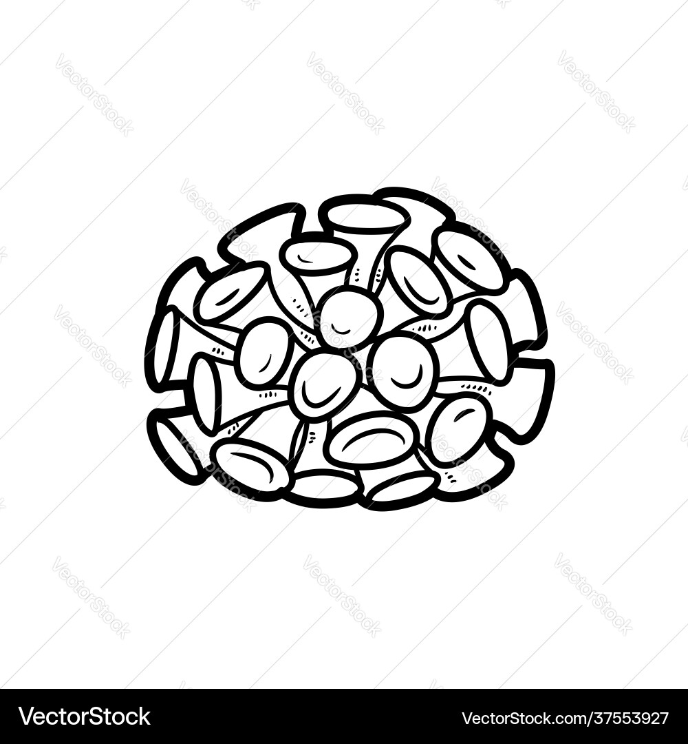 Circle sea sponge coloring book linear drawing Circle sea sponge coloring book linear drawing vector image