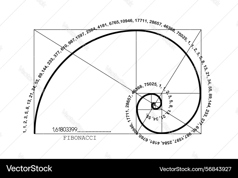 Fibonacci sequence spiral golden ratio formula Fibonacci sequence spiral golden ratio formula vector image