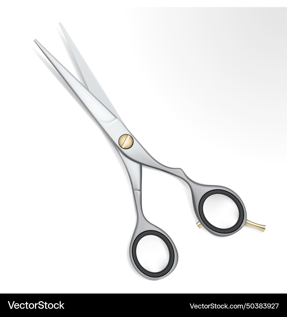 Scissors Vector Image