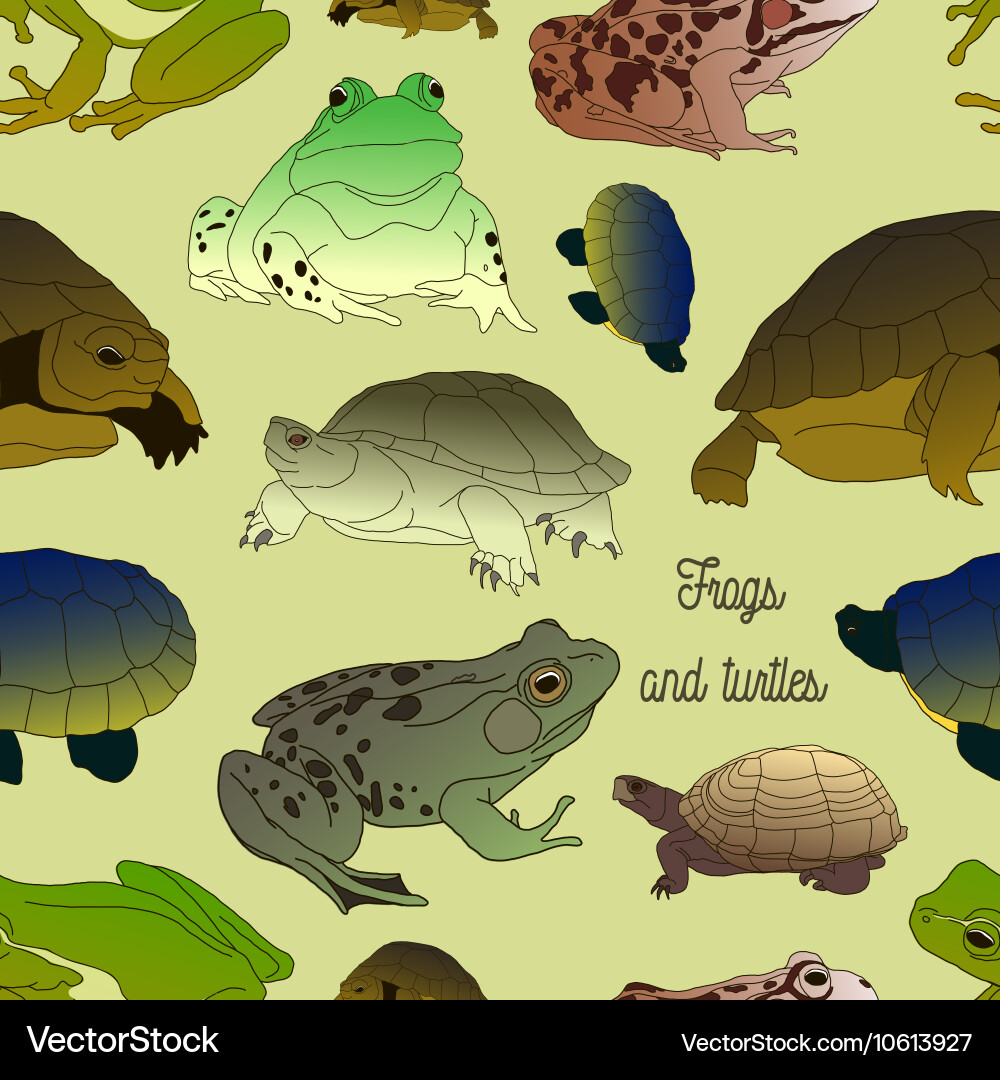 Set with frogs and turtless pattern Vector Image