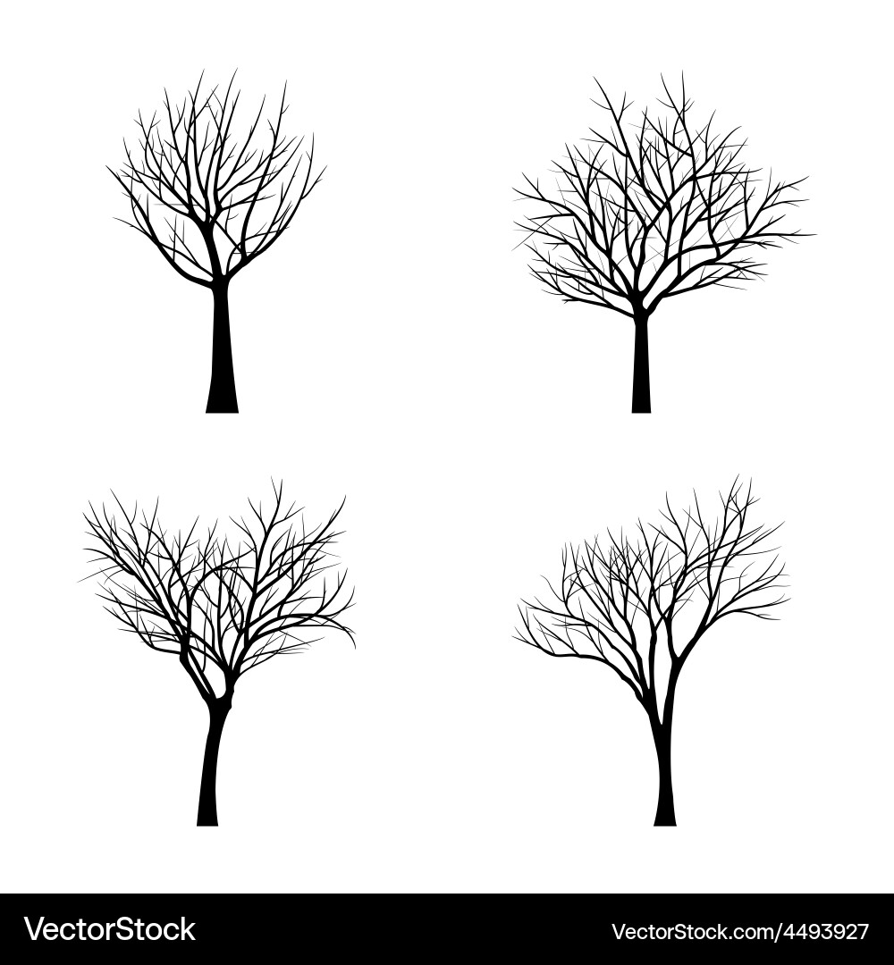 Trees with dead branch Vector Image
