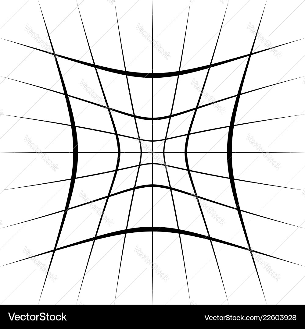 Grid mesh lattice with distortion warp effect Grid mesh lattice with distortion warp effect vector image