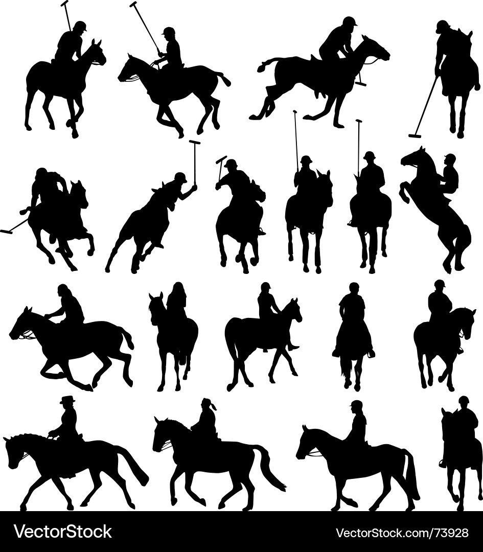 Polo Silhouettes - Equestrian Sport vector image