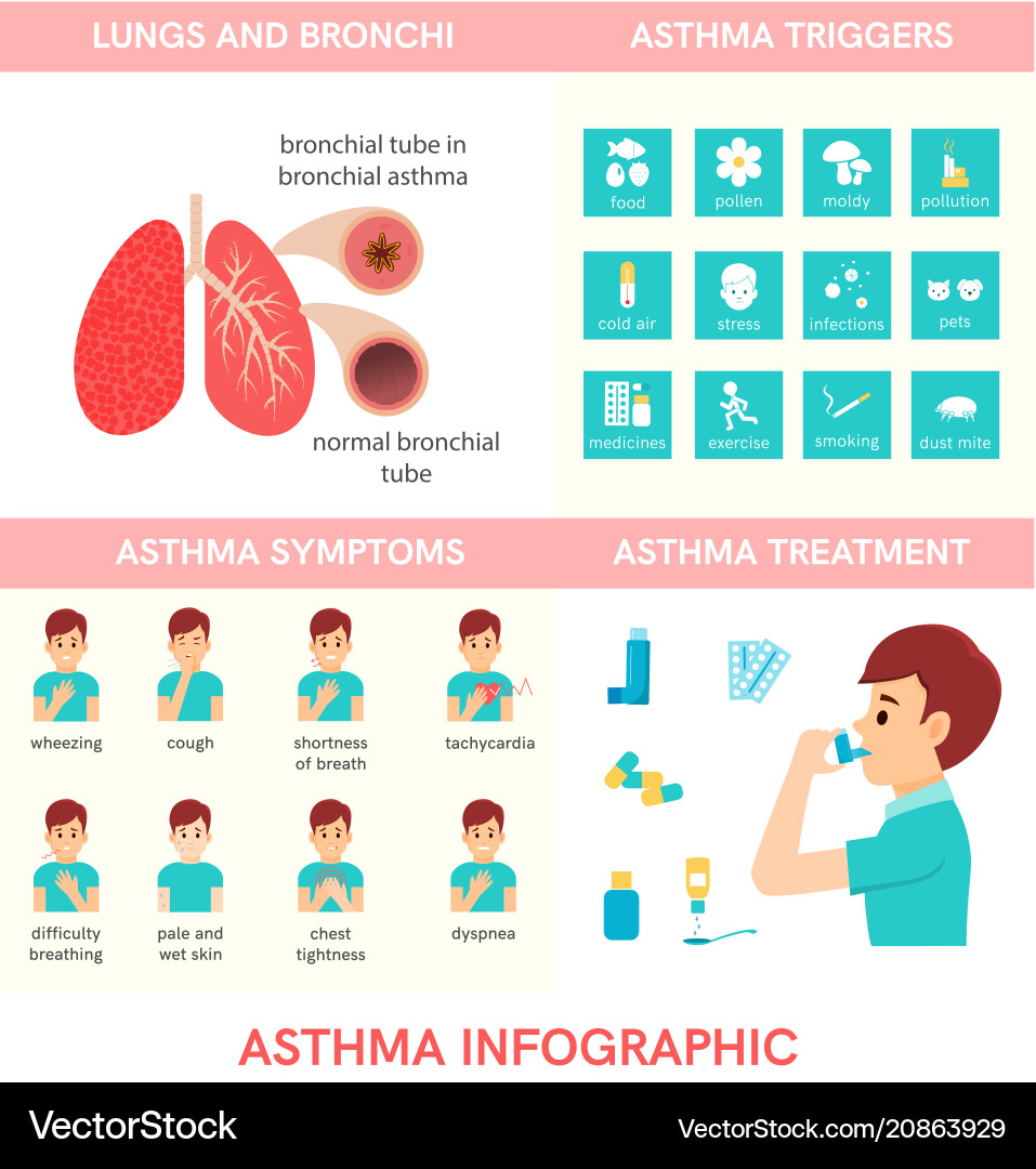Asthma Trigger Icons - Flat Style vector image