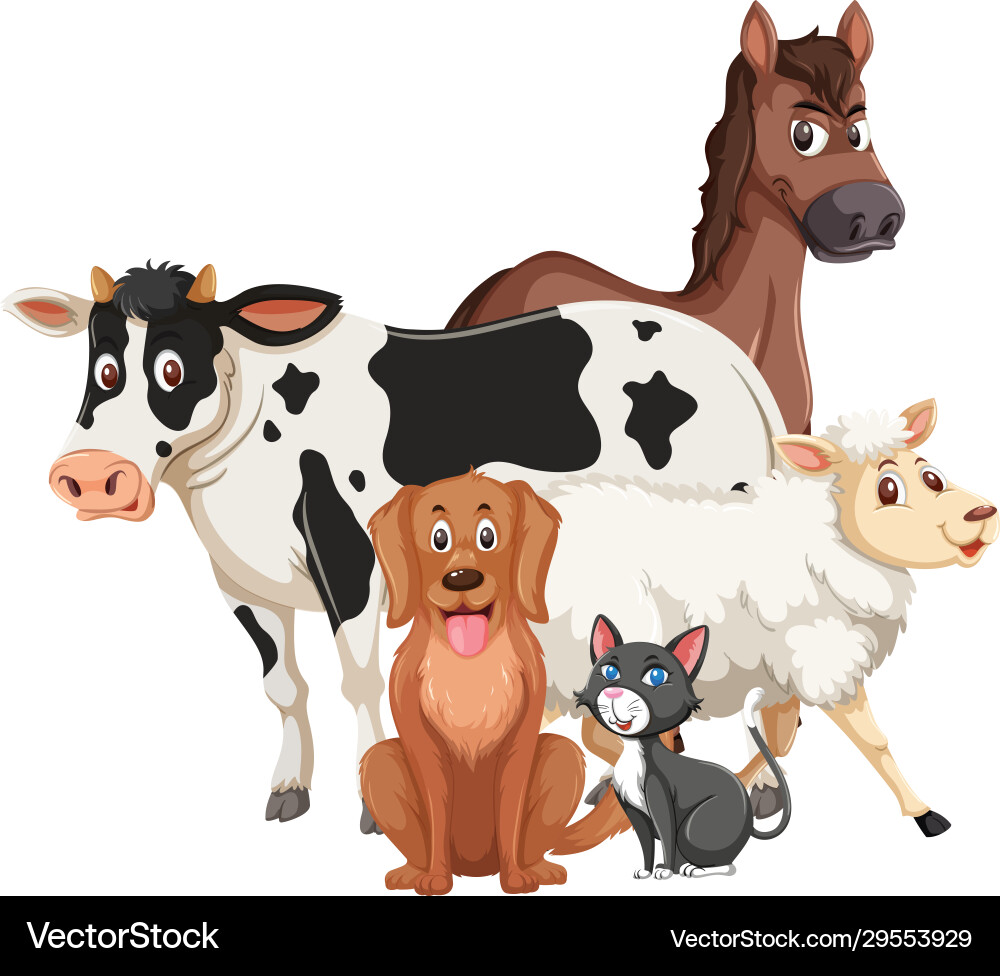Different types wild animals on white Royalty Free Vector
