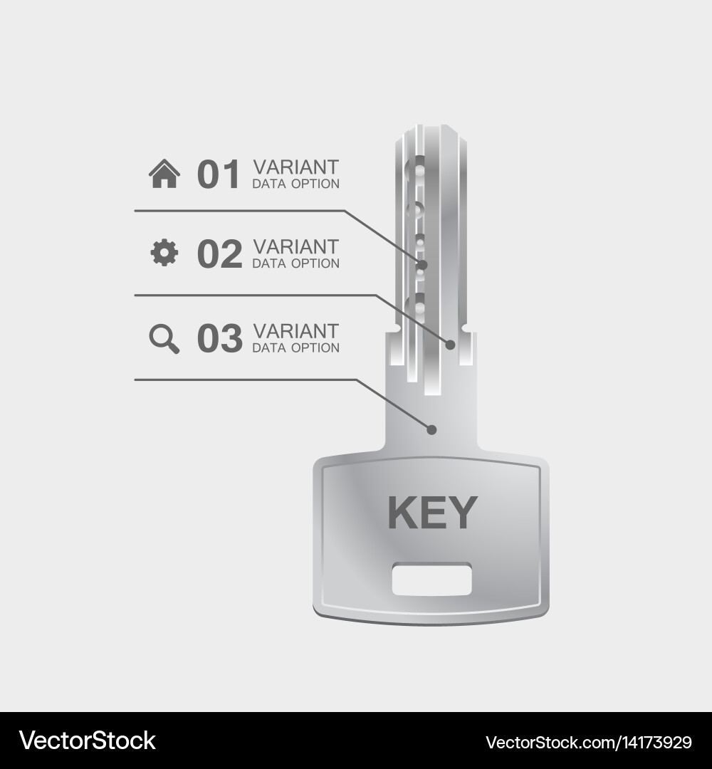 Key information with parameters vector image