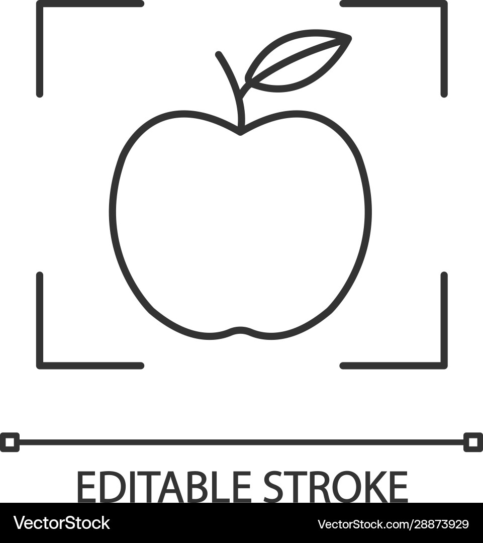 Object Detection Icon - Linear Style vector image
