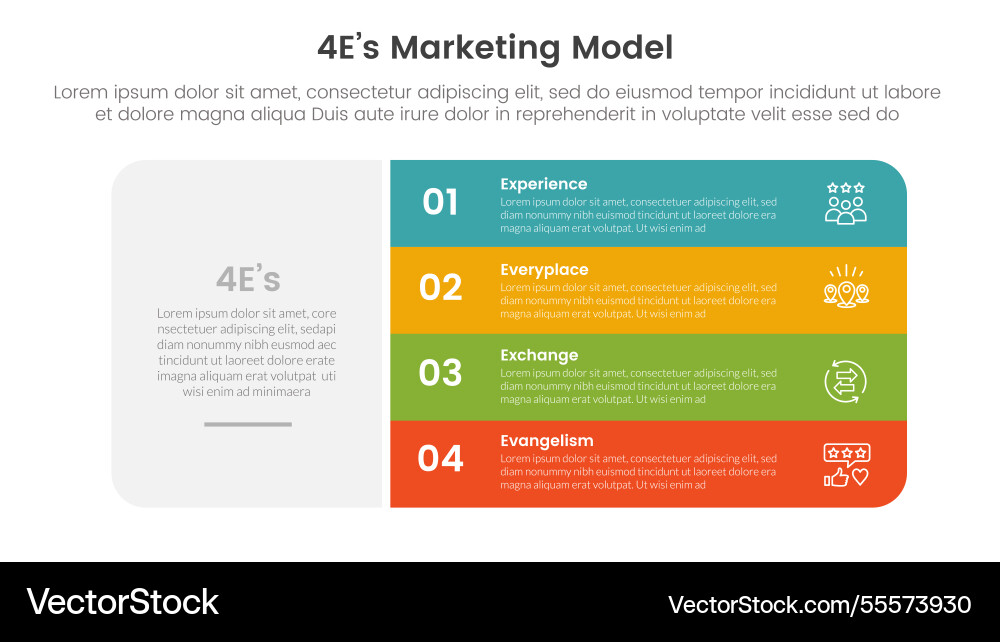 4e marketing model infographic 4 point stage 4e marketing model infographic 4 point stage vector image