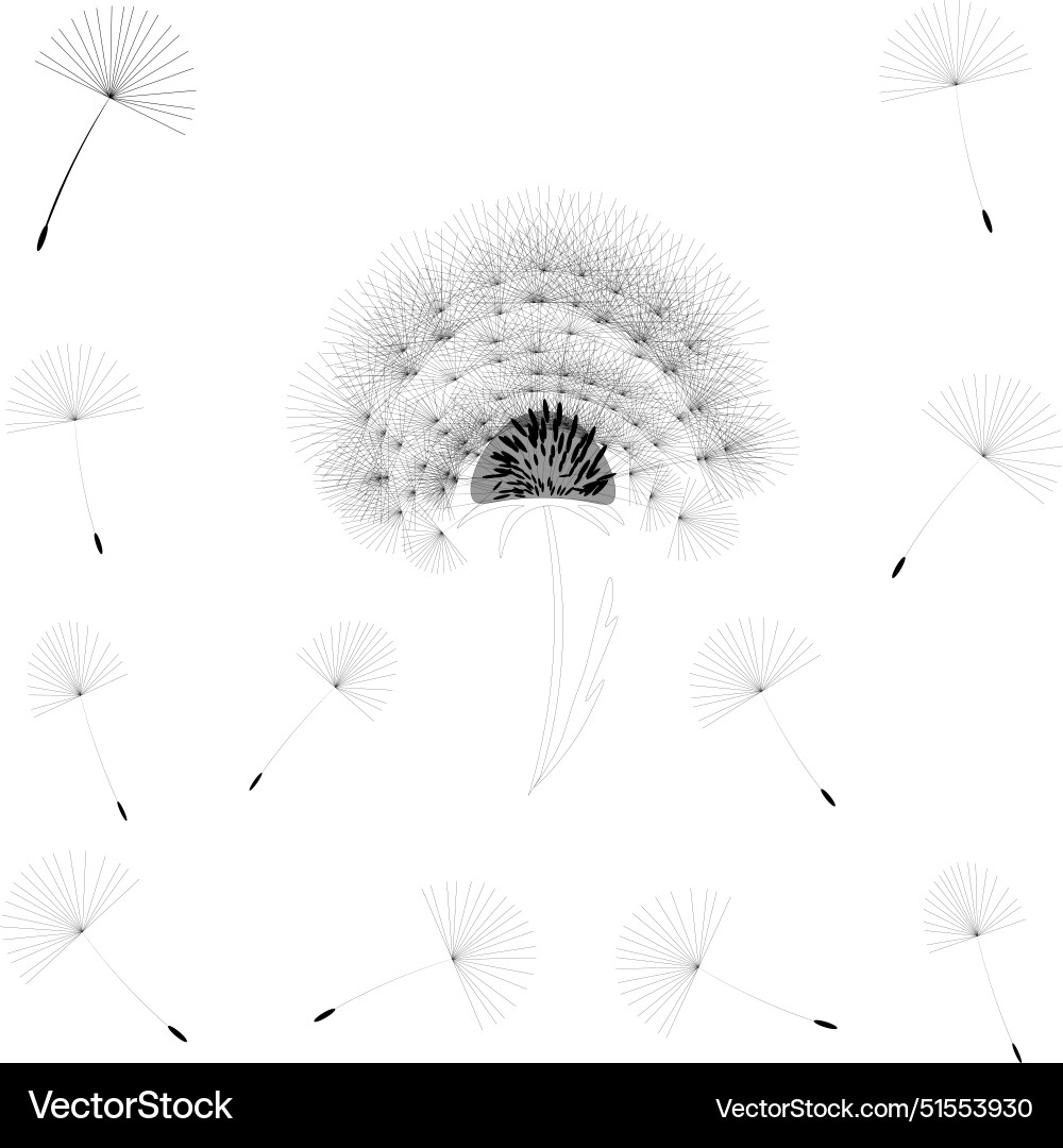 Abstract background of a dandelion for design Vector Image