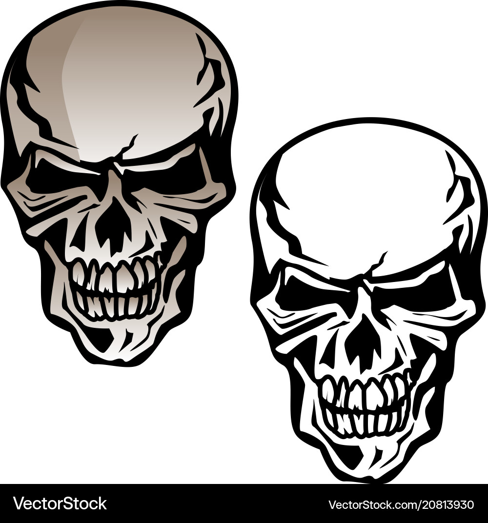 Angry Skull - Dark Art vector image