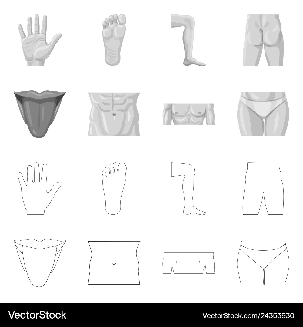 Isolated object of human and part icon collection Isolated object of human and part icon collection vector image