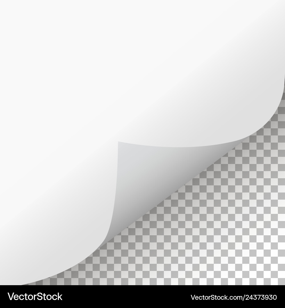 Page curl with shadow on isolated background Page curl with shadow on isolated background vector image