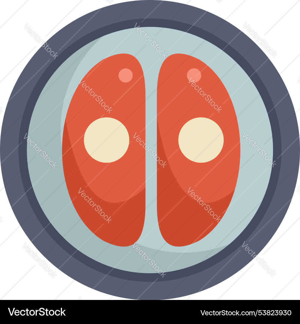 Red bean paste mochi on a plate representing Vector Image