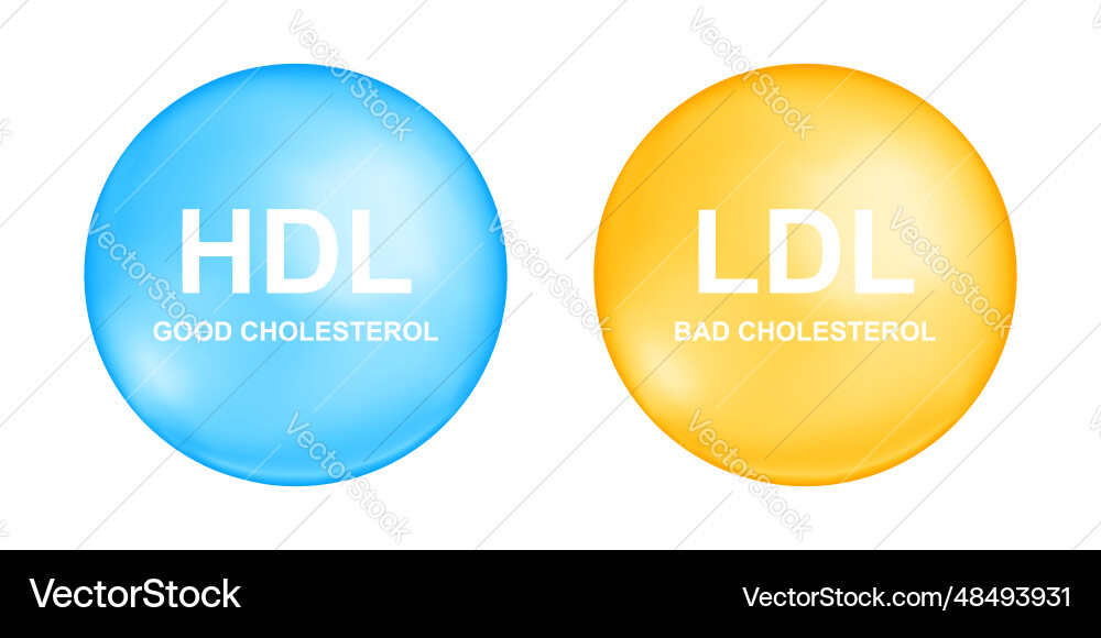 Hdl and ldl cholesterol types in blue yellow Hdl and ldl cholesterol types in blue yellow vector image