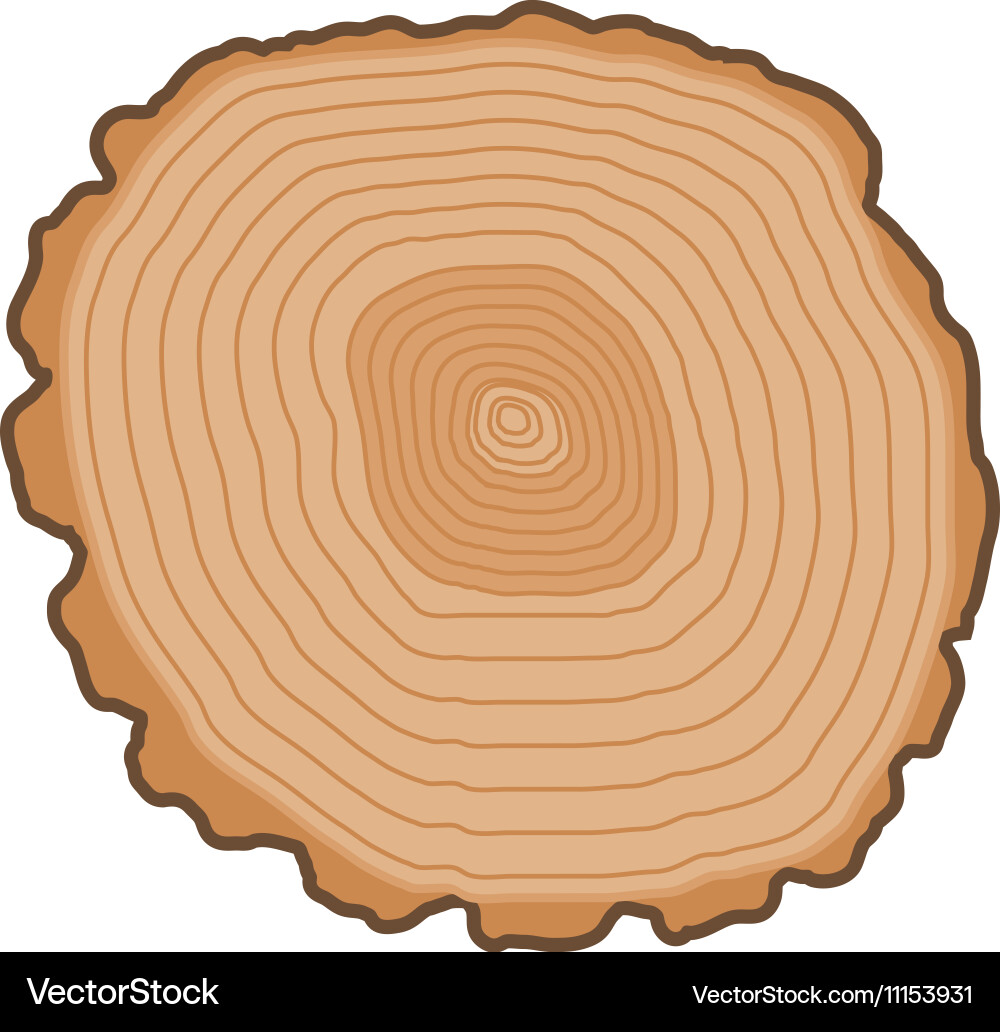 Tree slices isolated vector image