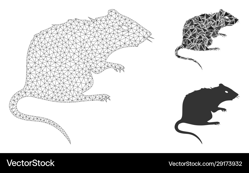 Rat mesh wire frame model and triangle Rat mesh wire frame model and triangle vector image