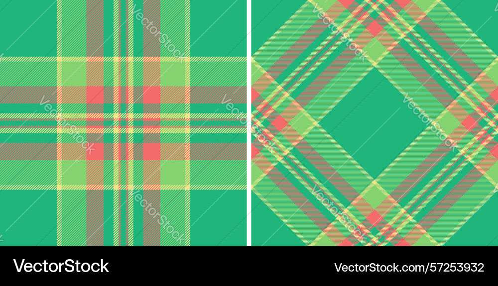 Texture plaid check of background pattern Vector Image