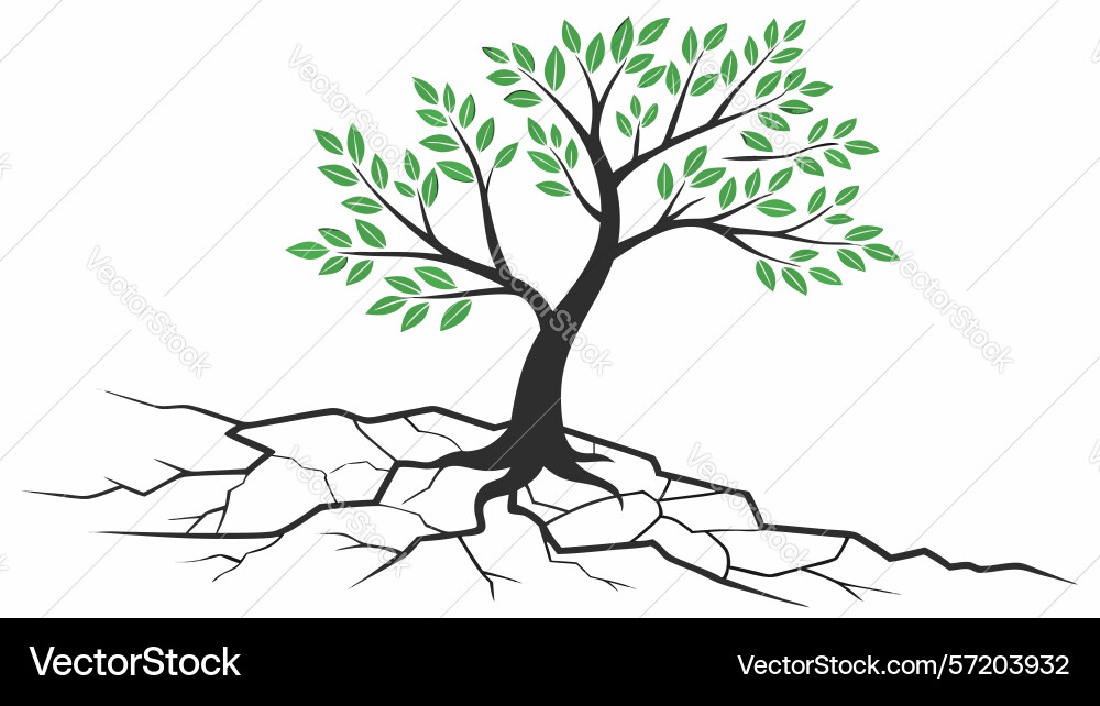 Tree with exposed roots strength foundation vector image
