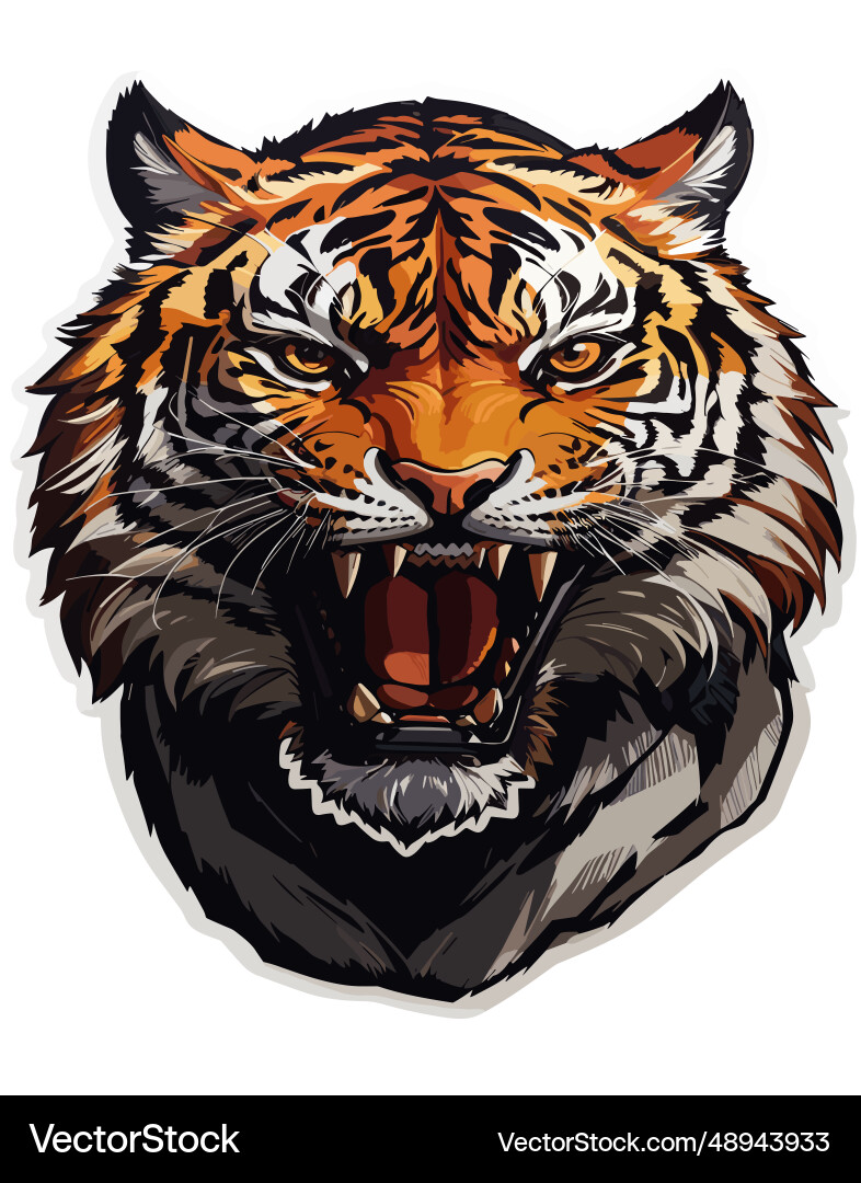 Angry tiger roar face – Royalty-Free Vector | VectorStock, image size:786x1080