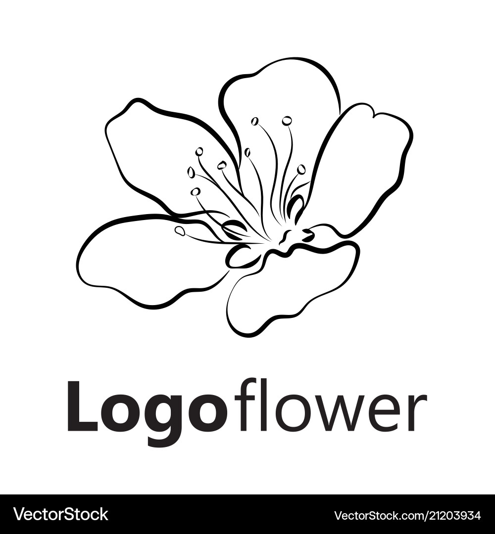 Blooming cherry sakura branch with flower buds Blooming cherry sakura branch with flower buds vector image
