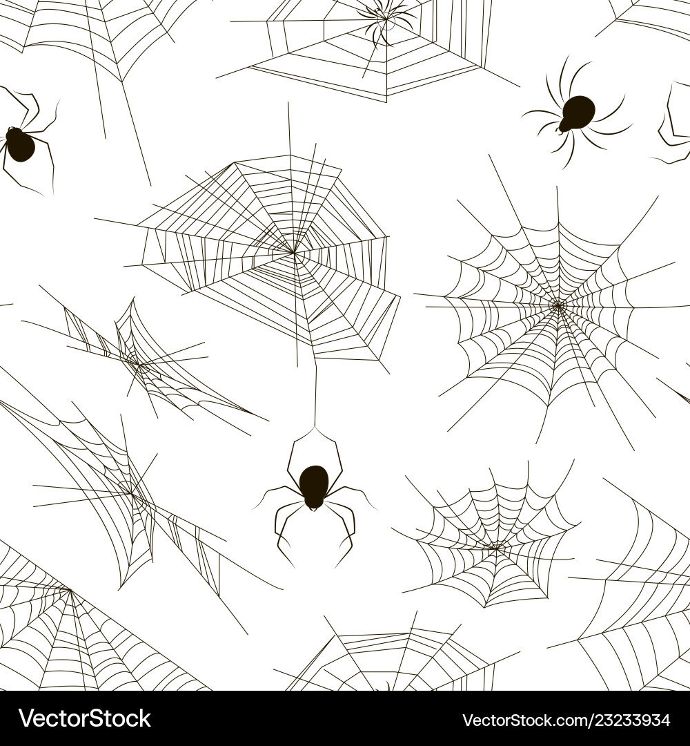 Collection of spiders and webs pattern Collection of spiders and webs pattern Vector Image