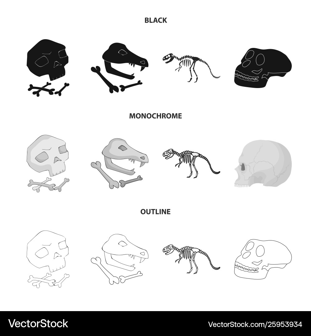 Isolated object skeleton and character logo Vector Image