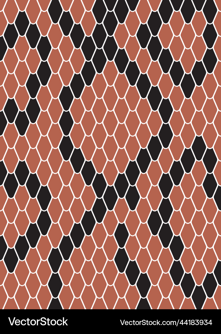Snake skin pattern Royalty Free Vector Image - VectorStock