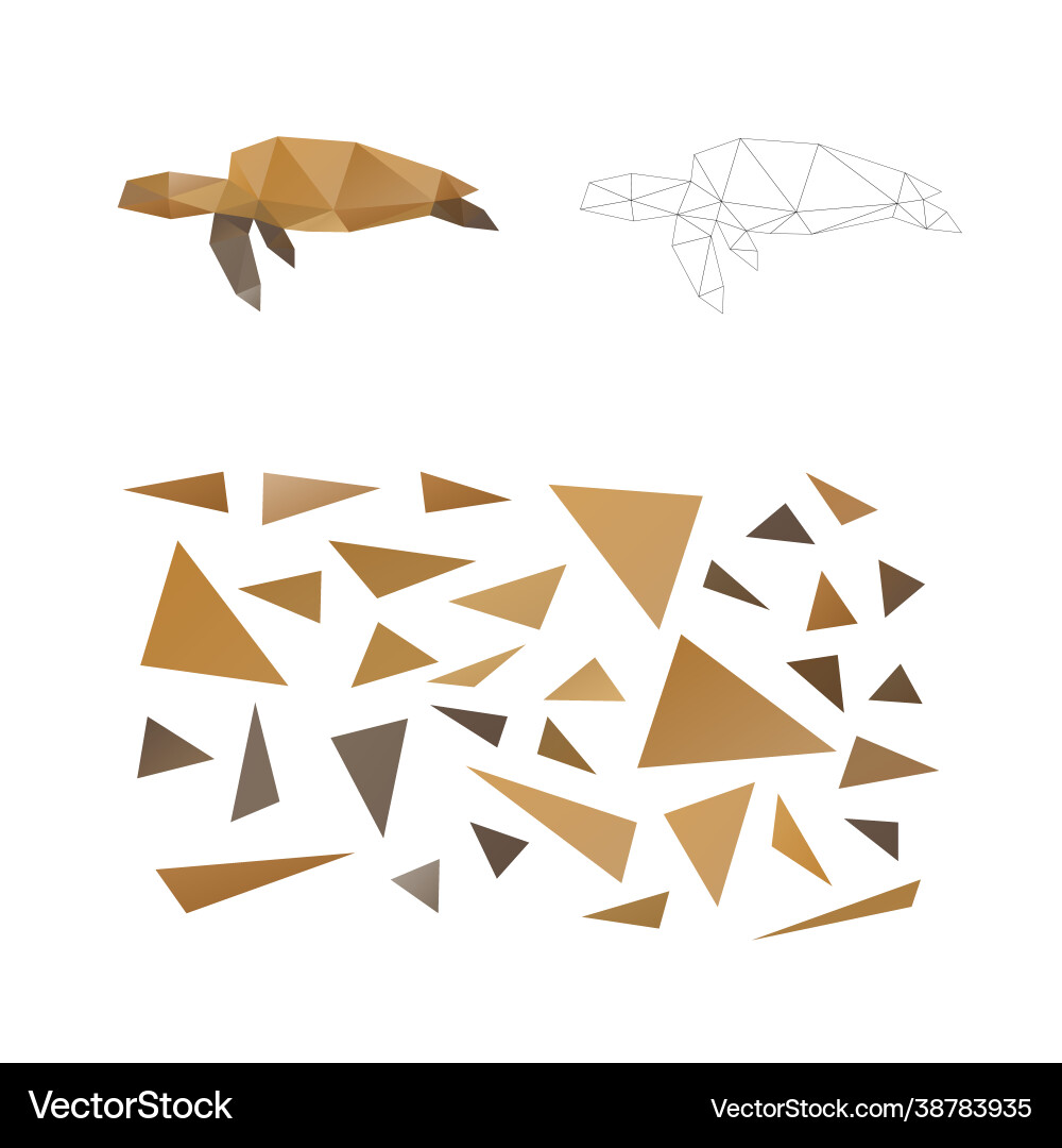 Puzzle from triangles collect a turtle Puzzle from triangles collect a turtle vector image