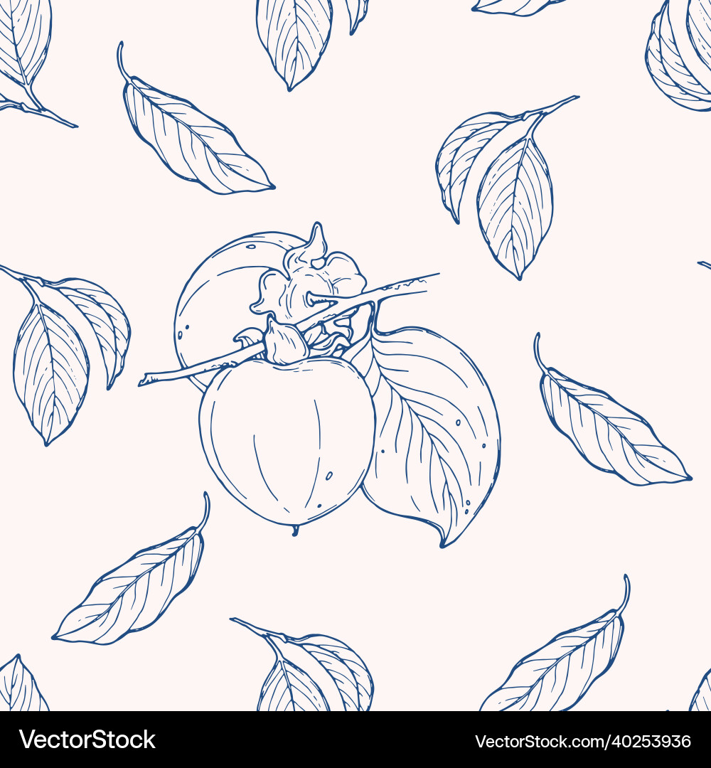 Seamless pattern with persimmon Seamless pattern with persimmon Vector Image