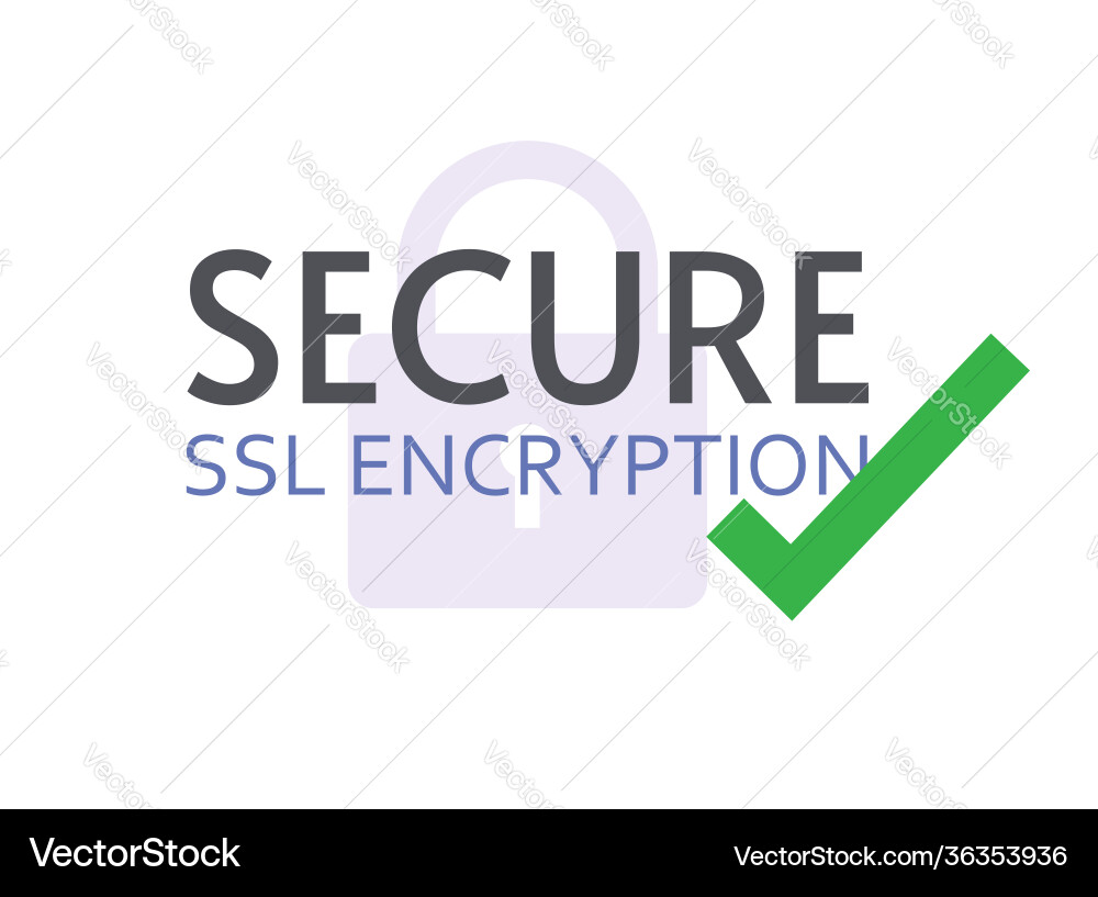 SSL Secure Encryption Icon vektorbild