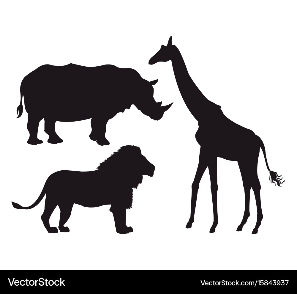 Black Animal Silhouettes on White Background Vector Image