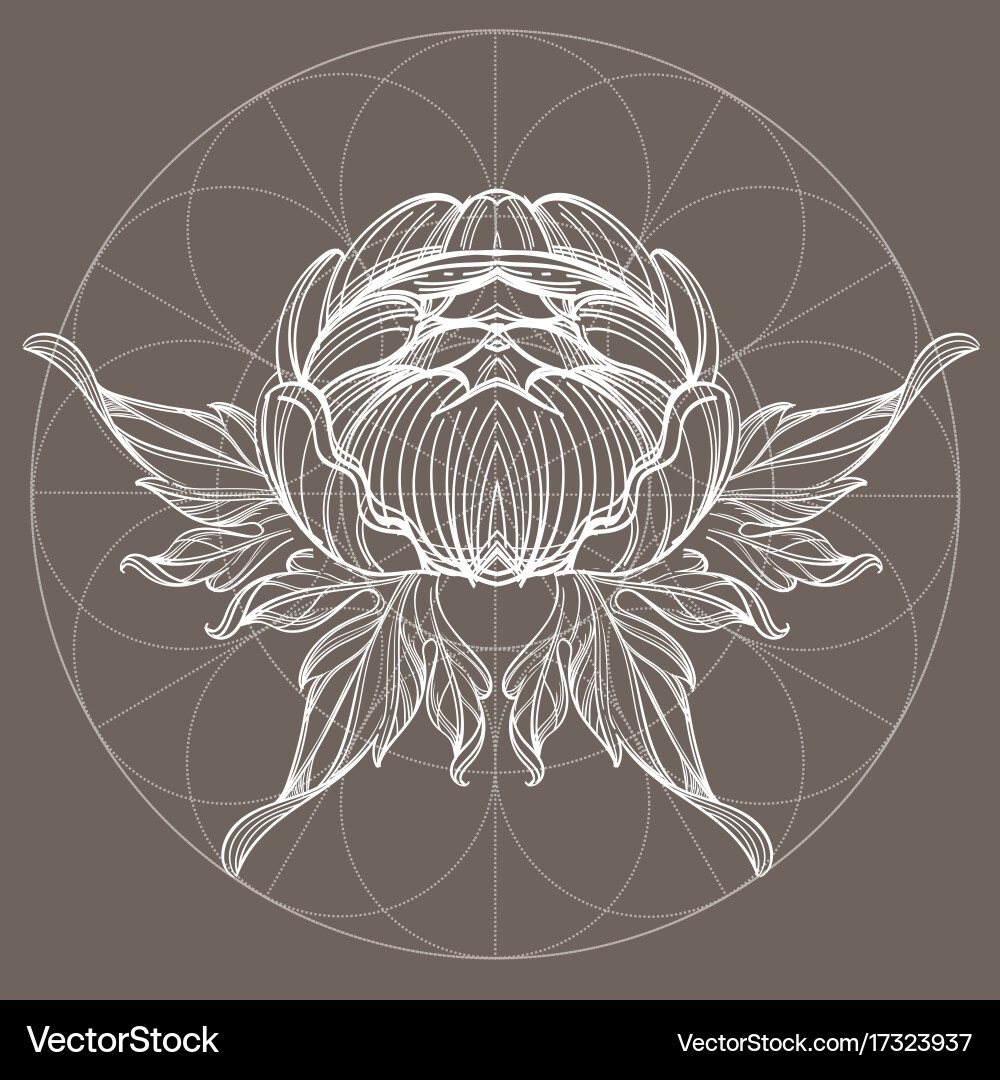 Elegant element of a stylized flower with smooth Vector Image