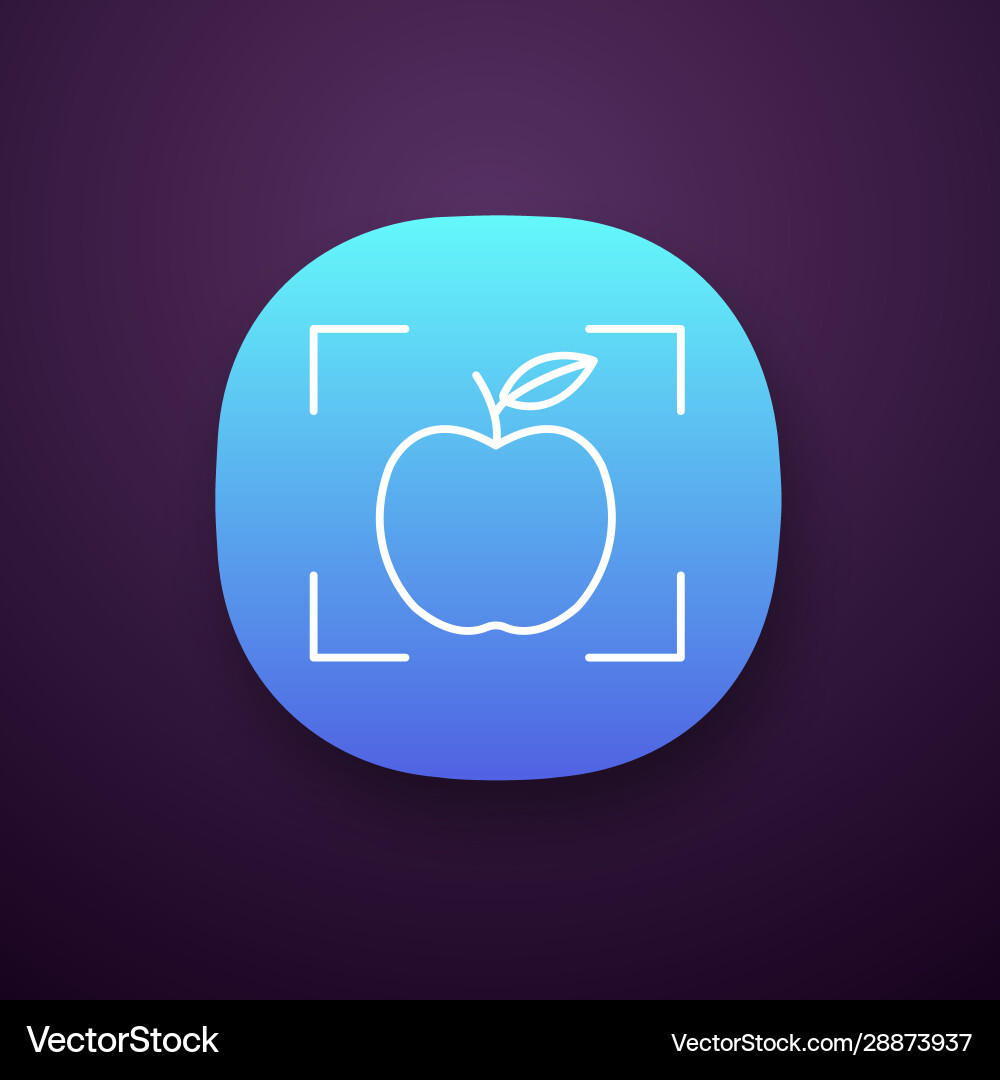 Object detection app icon Object detection app icon vector image