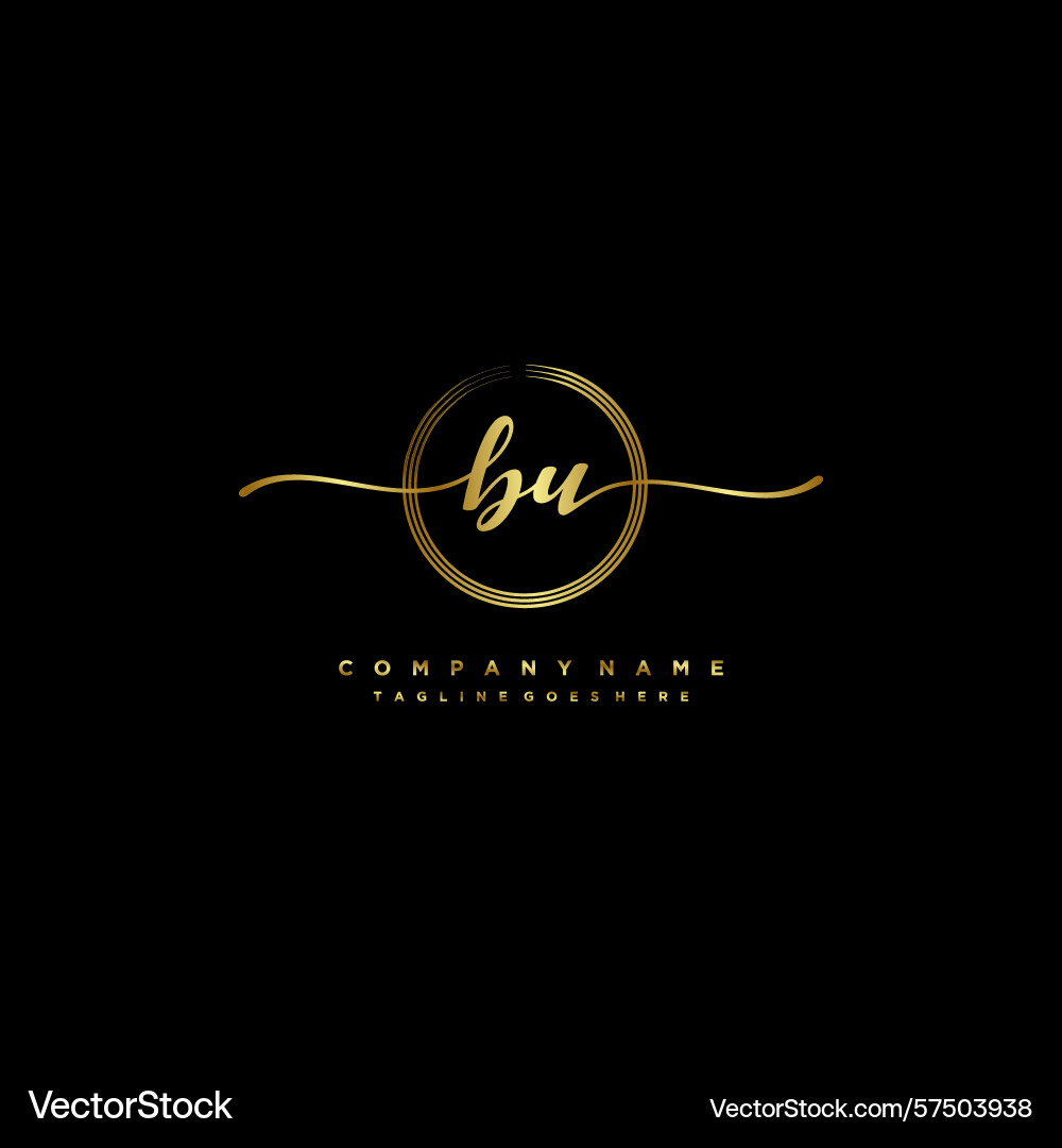 Bu initial handwriting logo with circular wave Bu initial handwriting logo with circular wave Vector Image