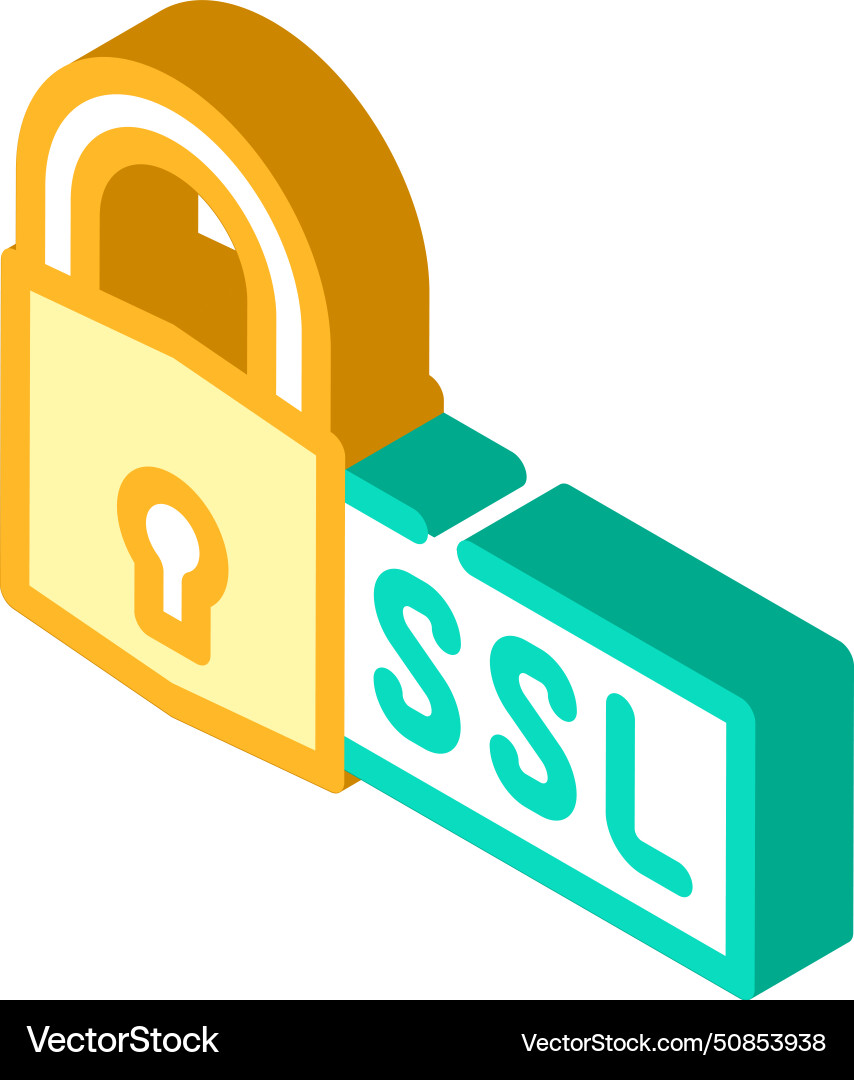 Ssl secure sockets layer seo isometric icon vector image