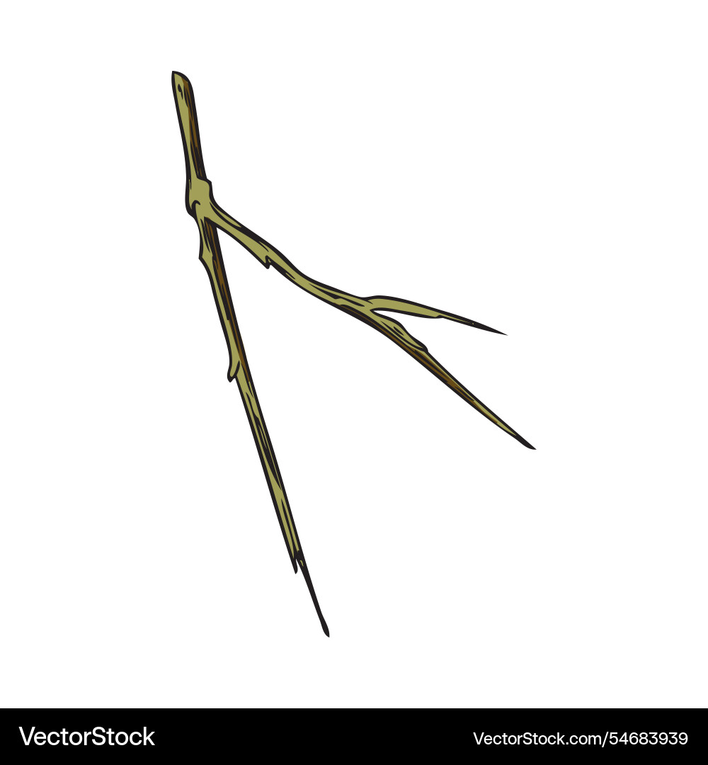 With a sharp green branch Vector Image