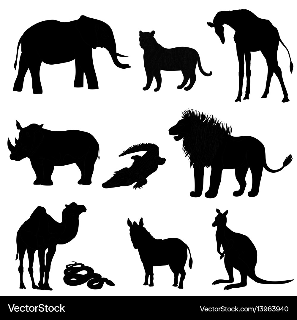 Animal Silhouettes Vector Image