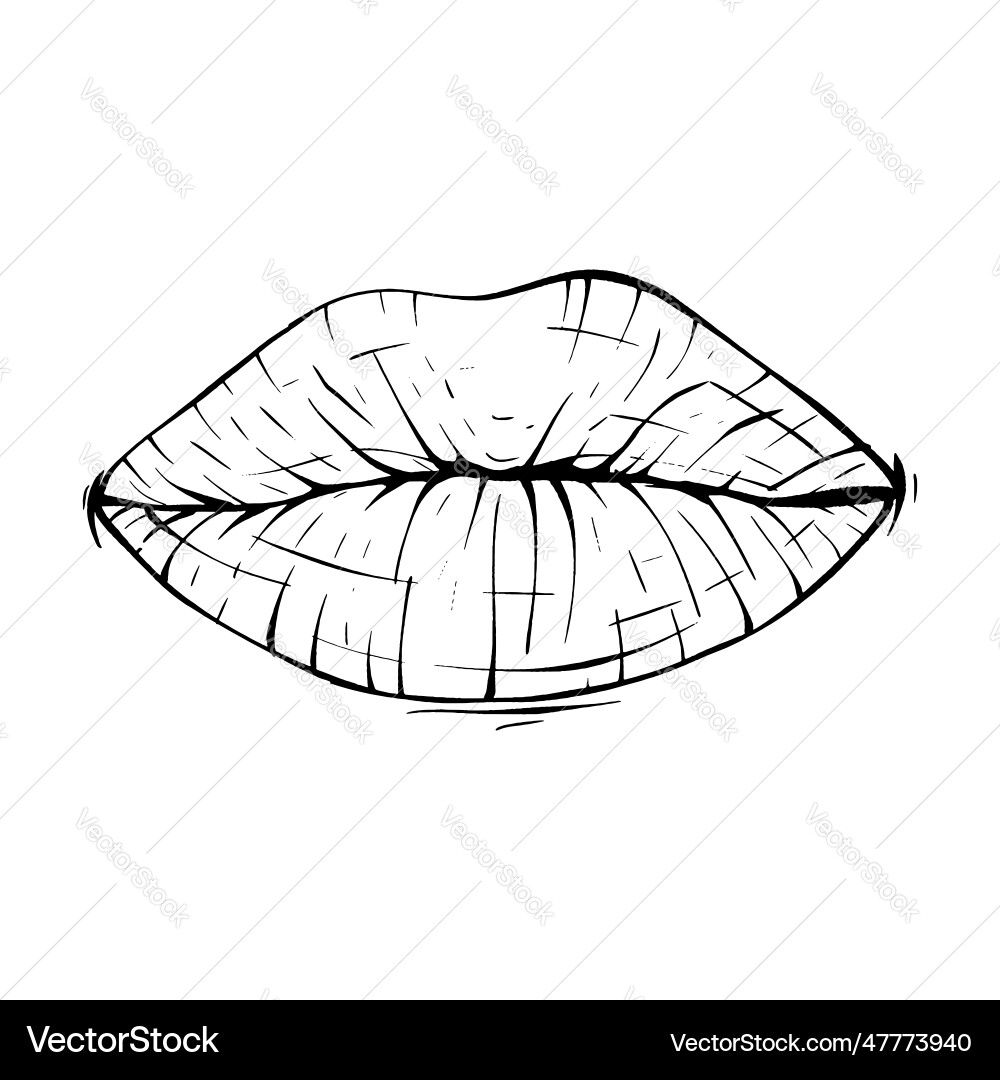 Mouth lips sketch line art Mouth lips sketch line art Vector Image