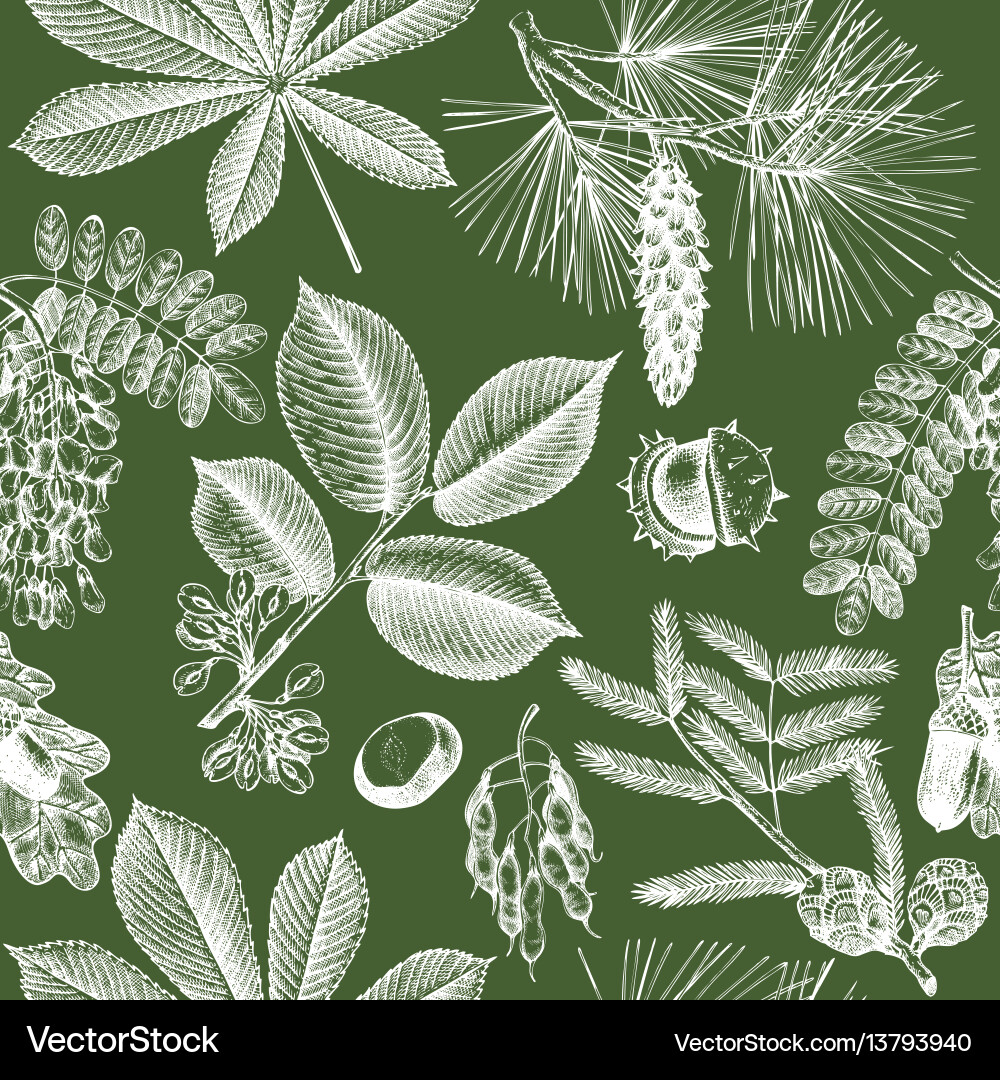 Seamless pattern with hand drawn trees sketch Seamless pattern with hand drawn trees sketch vector image