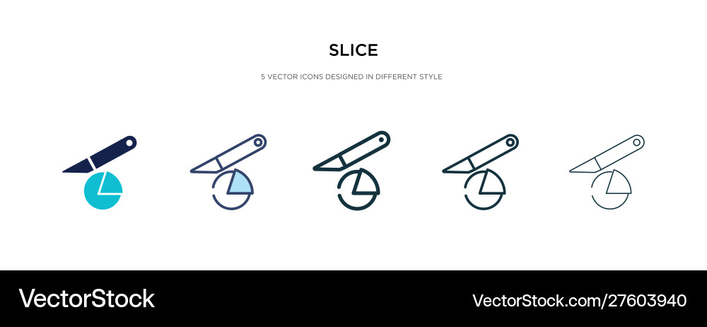Slice icon in different style two colored Vector Image