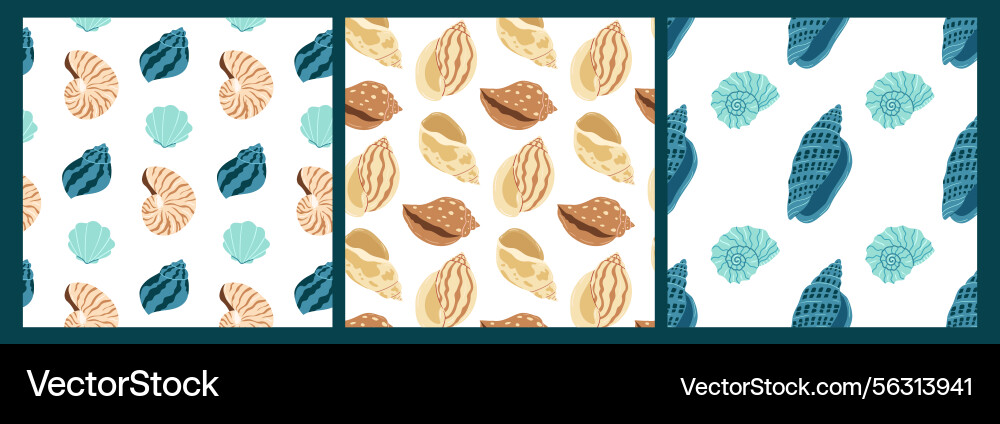 Colorful shell patterns in a decorative design Colorful shell patterns in a decorative design vector image