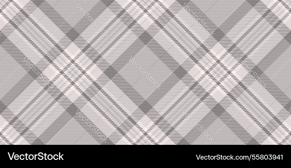 Elegant grayscale plaid pattern subtle texture Vector Image